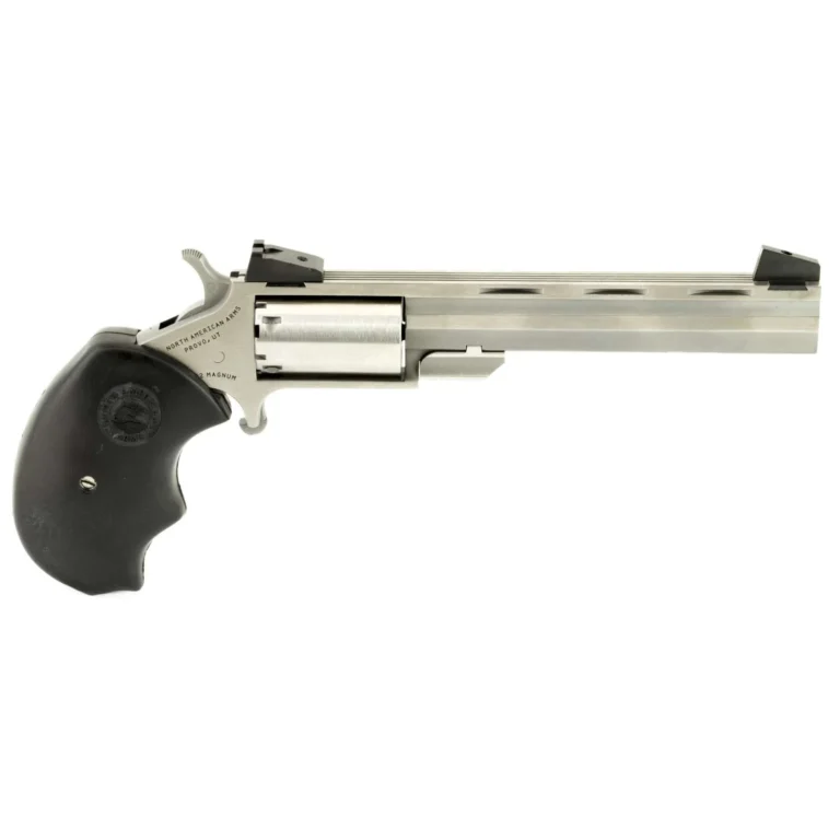 NAA MINI REVLVR MINI MASTER TGT CONV 22LR/MAG 4"